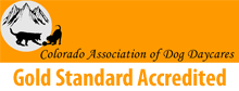 Colorado Association of Dog Daycares Gold Standard Accredited